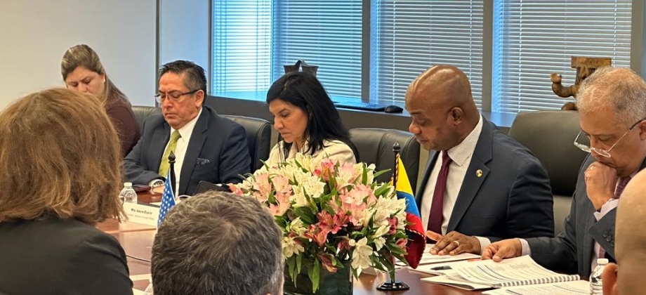 Grupo de Asuntos Consulares Colombia-Estados Unidos se reúne en Washington para avanzar la Agenda Binacional